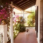 Casa Cao Charmantes Mit Garten Sao Domingos (Sao Bartolomeu dos Galegos)