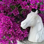 Casa Cao Charmantes Mit Garten Sao Domingos (Sao Bartolomeu dos Galegos)