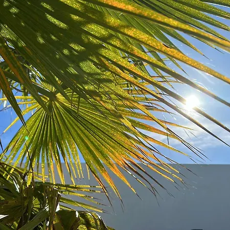 Prázdninový dům Casa Cao Charmantes Mit Garten *