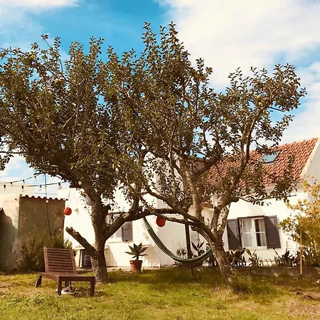 Casa Cao Charmantes Mit Garten Prázdninový dům Sao Domingos (Sao Bartolomeu dos Galegos)