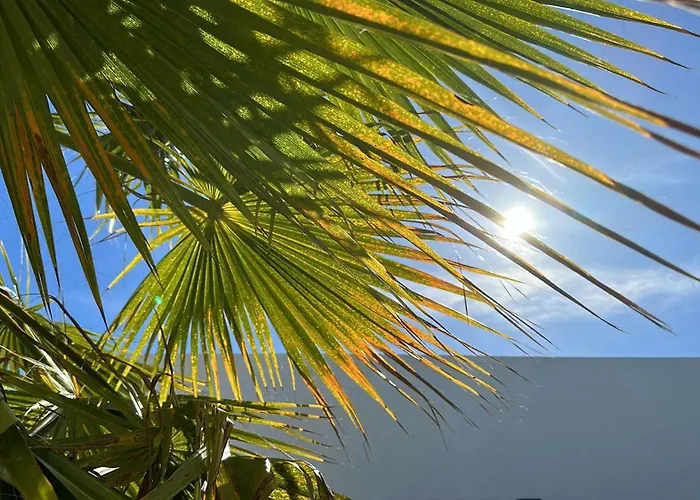 Casa vacanze Casa Cao Charmantes Mit Garten *