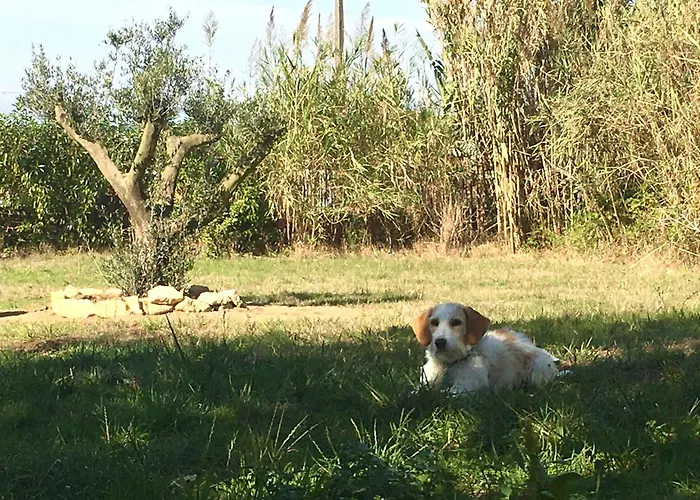 Casa Cao Charmantes Mit Garten Casa vacanze *