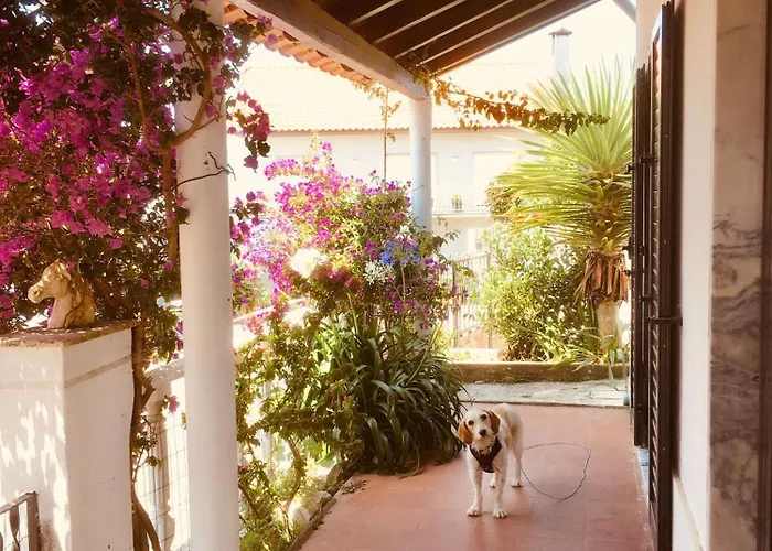Casa Cao Charmantes Mit Garten Sao Domingos (Sao Bartolomeu dos Galegos)
