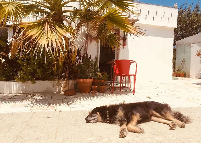 Casa Cao Charmantes Mit Garten