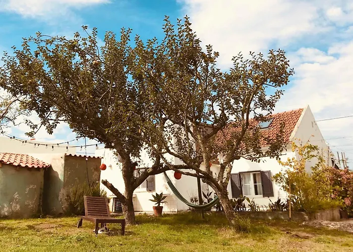Casa Cao Charmantes Mit Garten Casa vacanze Sao Domingos (Sao Bartolomeu dos Galegos)